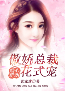 精灵：开局盘点智爷十大伙伴