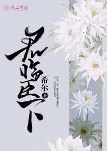 藏海花完整版小说