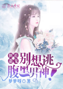 天才布衣小说