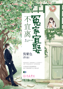 王朝争霸历史架空小说