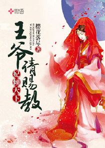 老婆太多，我选择飞升