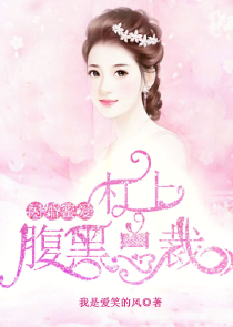 家族联姻计划