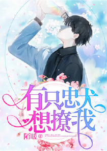 歌词有为什么的歌男生版