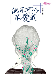 《花开花落》小说