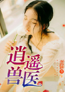 四象相关言情小说