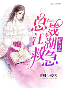 總裁的33日