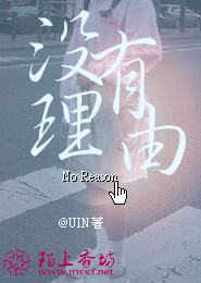 张海警察局长小说