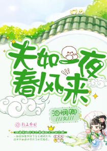 前夫请自重百度云资源txt