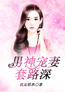 容少宠妻记