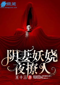 无限之最强骑士