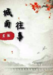 皎皎的小说