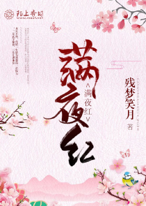重生之遇见季先生