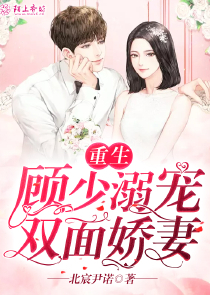 我的老婆是警花全文