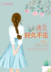 先婚晚爱最佳模范老公免费全文