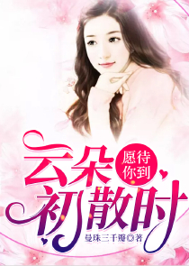 公憩关系小说