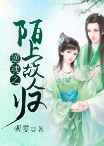 凤戾九天极品废柴小姐