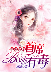 总裁的二婚新娘