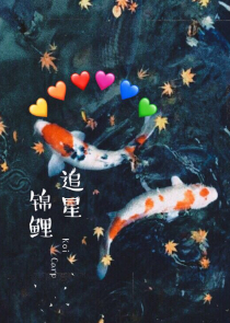 会弁如星