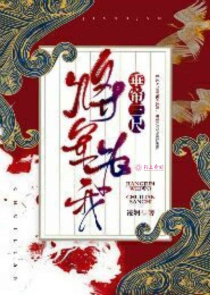 网王同人平淡幸福