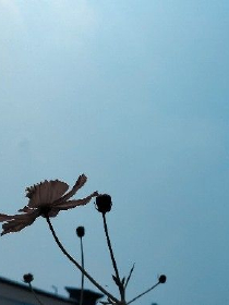 你见过的生性凉薄的人
