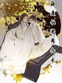 汉生指南原创小说