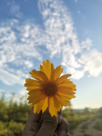 焚尽八荒河书