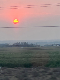 帝庭免费小说