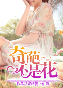 作者玉玲珑为什么不写了