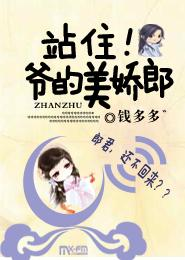 沈慕衍苏奈你与春风皆过客