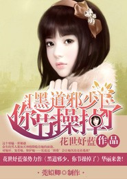 淡王妃小说