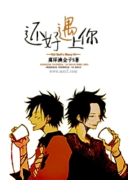 2011最新《追爱/长城外面是故乡》DVDscr国语中字