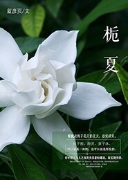 药园杂役弟子