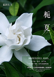 仙帝归来云青岩笔趣阁