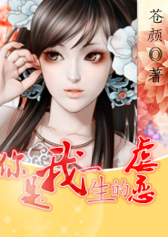 猎魔人9527
