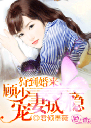 文明峥嵘小说