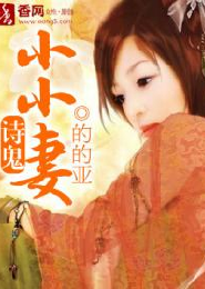 极品家丁续写