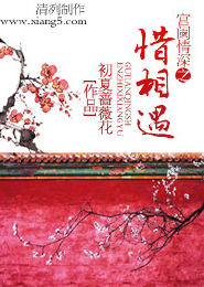 召聘娘娘枫临小说