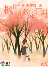 影灵档案