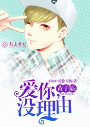 全职高手有声版