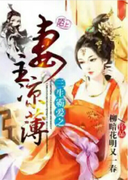 重生魔法少女奈叶