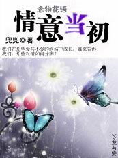 无敌大礼包系统