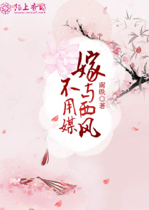 小说神医小懒妃