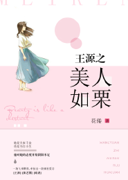 迷踪谍影