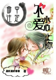 都市少帅全文阅读